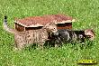 IMG_5300i.jpg