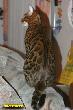 IMG_2352i.jpg