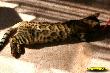 IMG_2591i.jpg