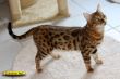 IMG_3715i.jpg