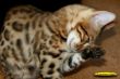 IMG_8913i.jpg