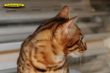 DSC_3836i.jpg