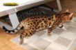 DSC_3871i.jpg