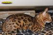 DSC_3882i.jpg
